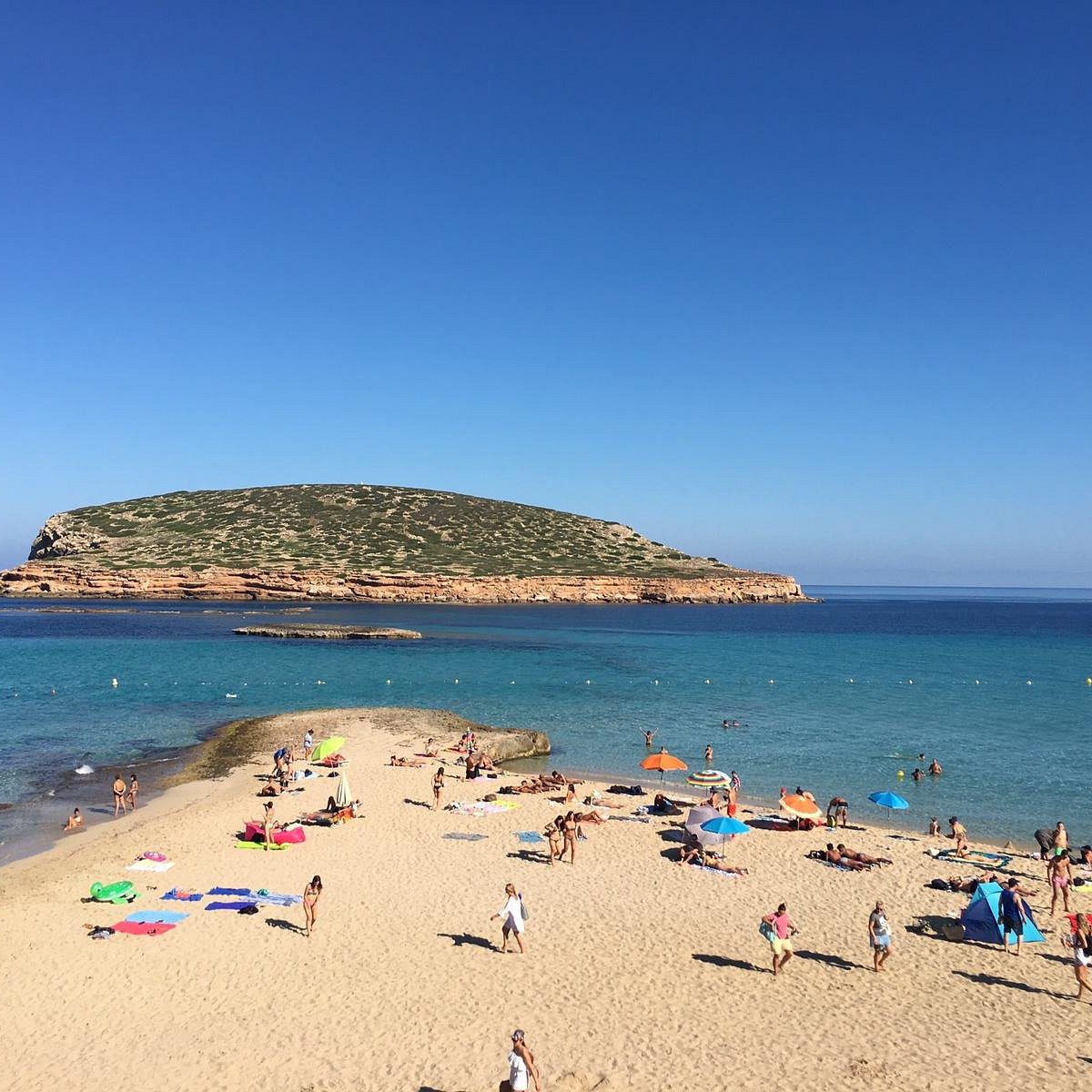 Cala Comte - изображение 7