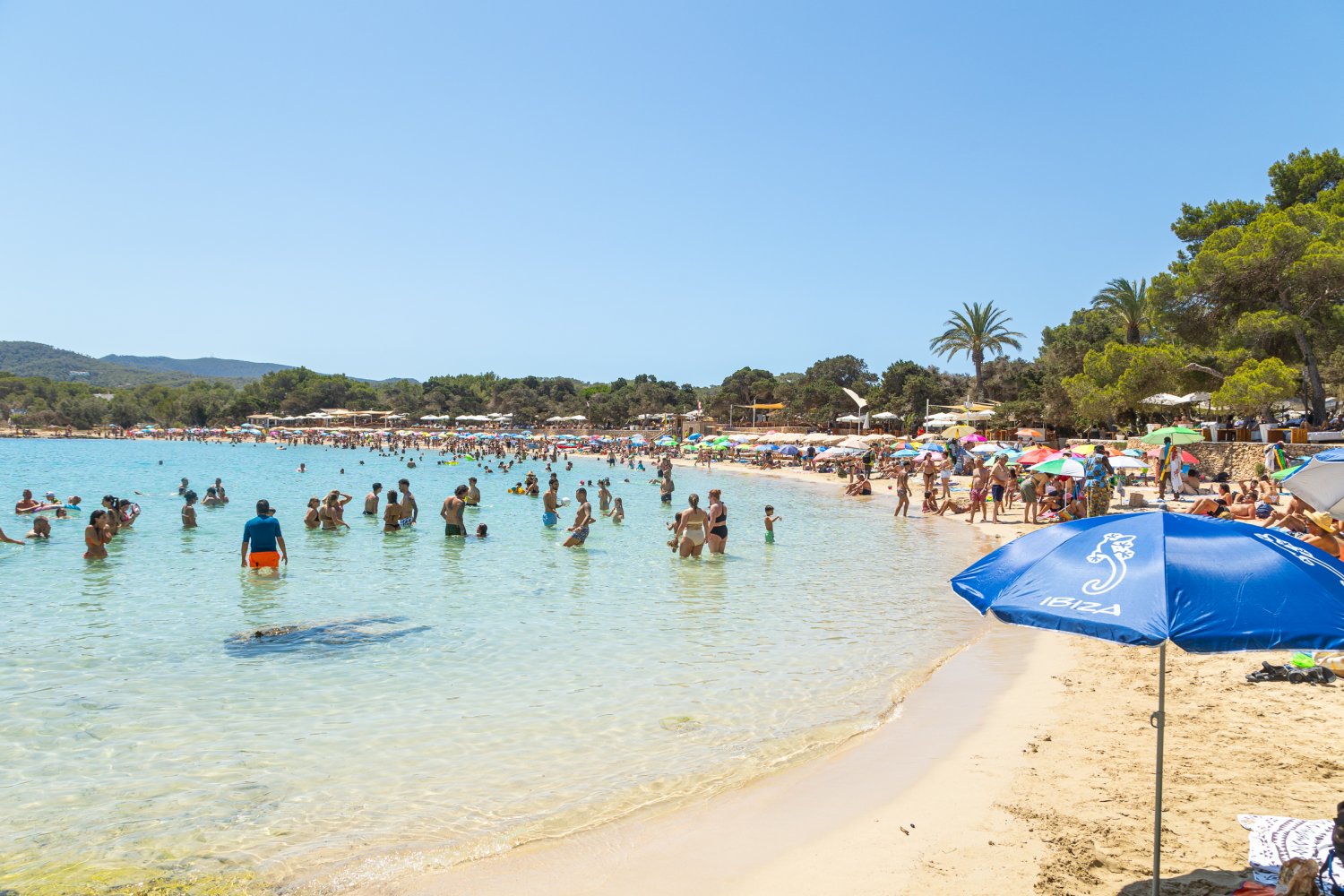 Cala Bassa - изображение 5