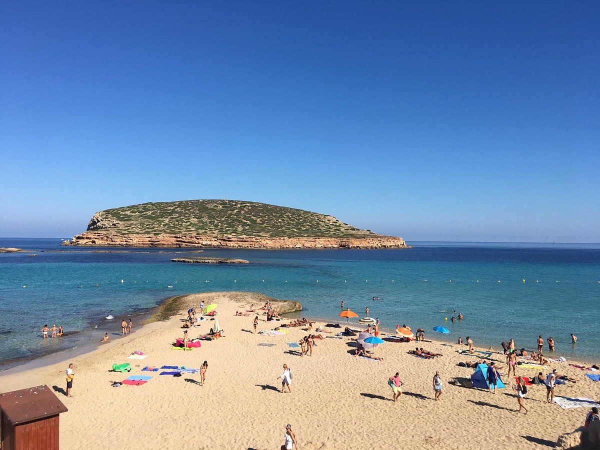 Cala Comte - изображение 3
