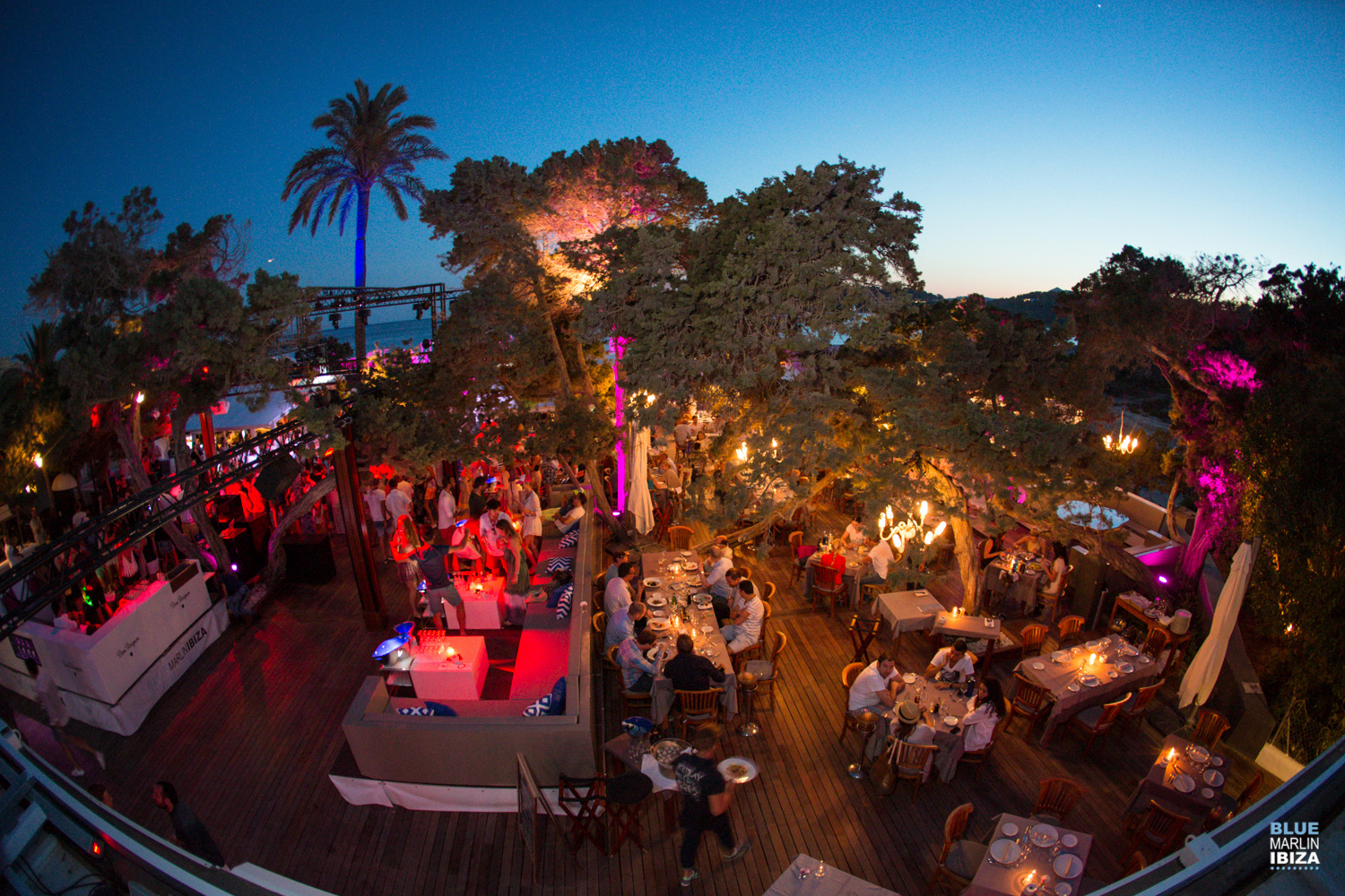 Blue Marlin Ibiza - изображение 6
